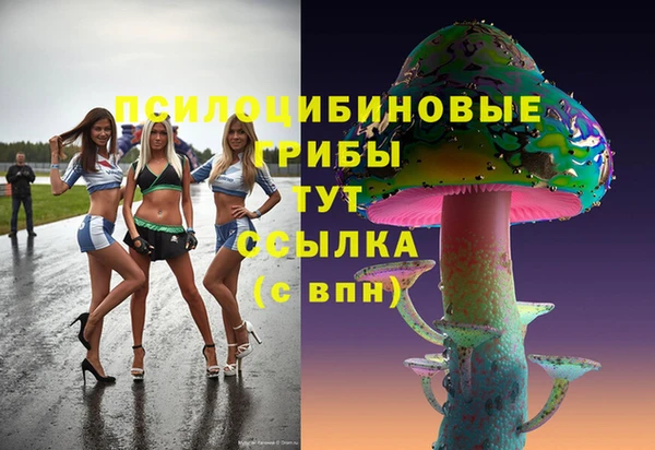 прущие крисы Бронницы