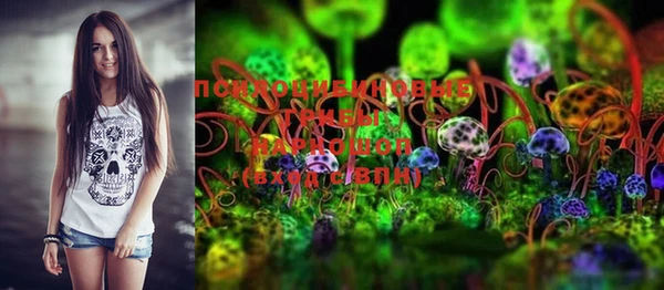 марки lsd Бородино