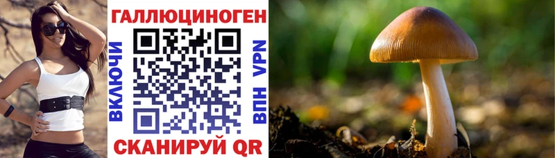 как найти наркотики  Миньяр  даркнет клад  Галлюциногенные грибы Cubensis 